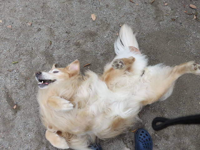 ファイル 4584-2.jpg