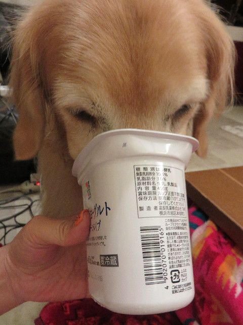 ファイル 4584-5.jpg