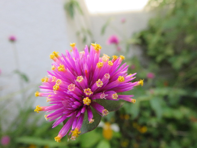 ファイル 4585-3.jpg