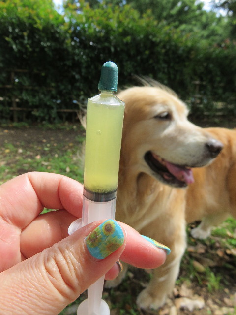 ファイル 4586-1.jpg