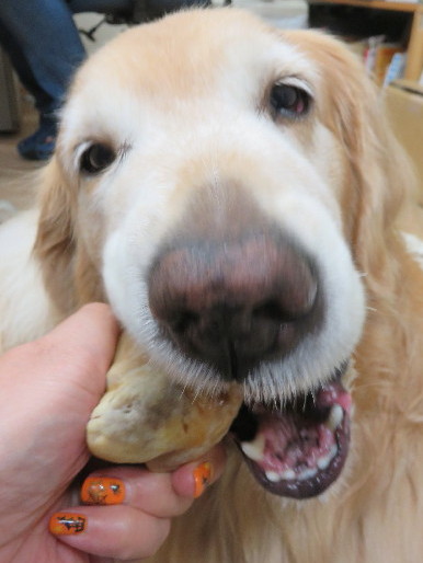 ファイル 4586-3.jpg