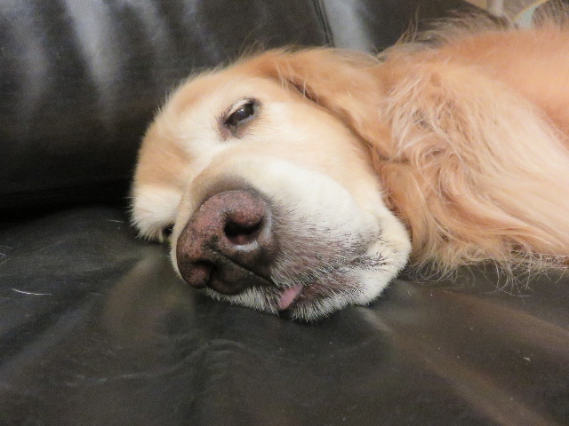 ファイル 4586-5.jpg