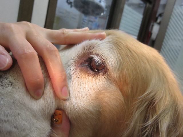 ファイル 4587-3.jpg