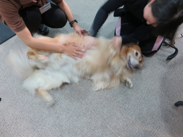 ファイル 4588-1.jpg