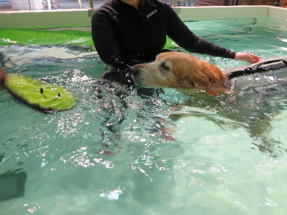 ファイル 4588-3.jpg