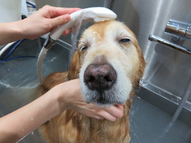 ファイル 4588-5.jpg