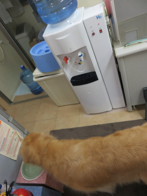 ファイル 4589-3.jpg