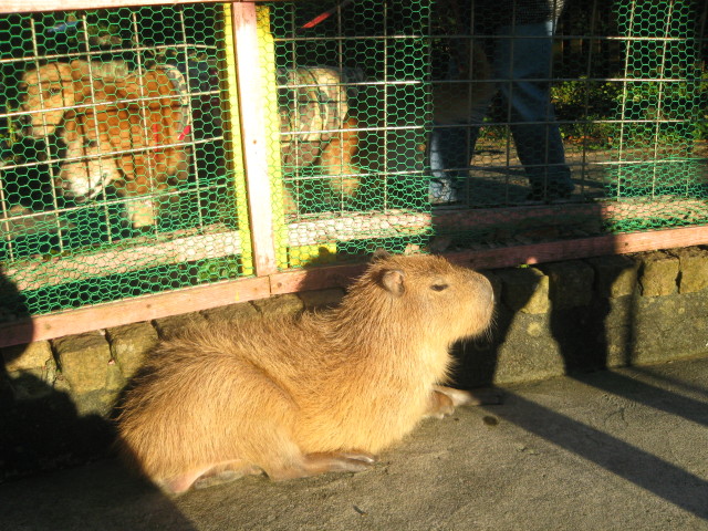 ファイル 459-1.jpg