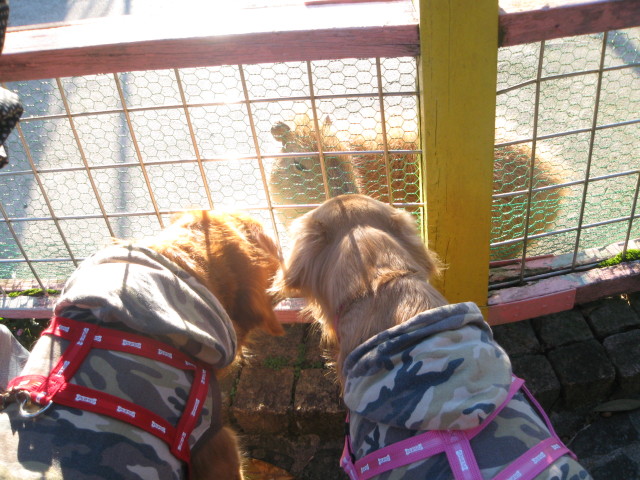 ファイル 459-2.jpg