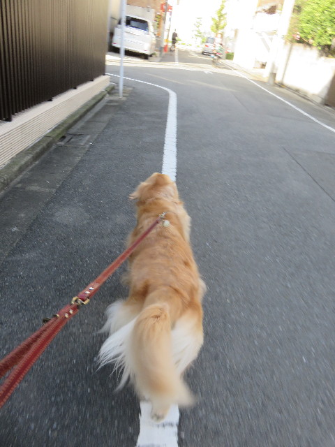 ファイル 4591-4.jpg