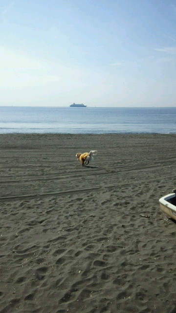 ファイル 4592-1.jpg