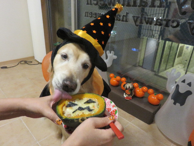 ファイル 4593-2.jpg