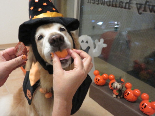 ファイル 4593-4.jpg