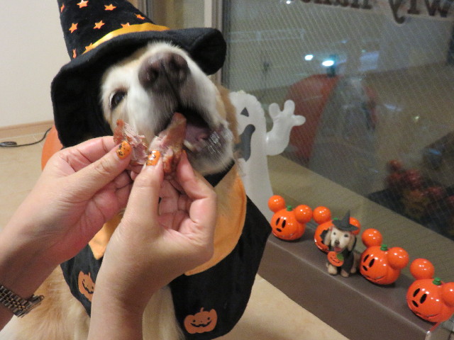 ファイル 4593-5.jpg