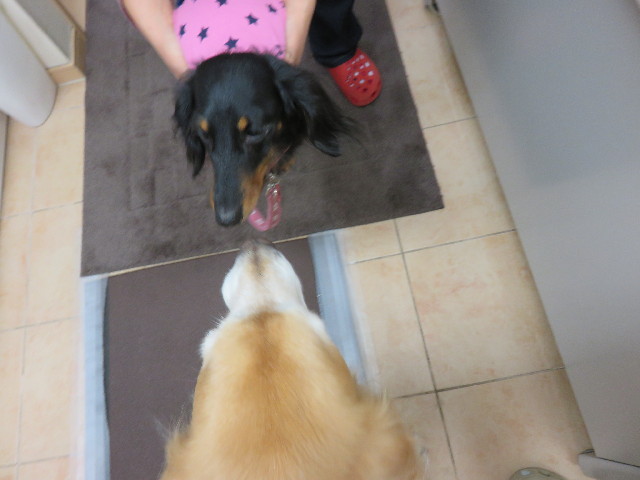 ファイル 4594-1.jpg