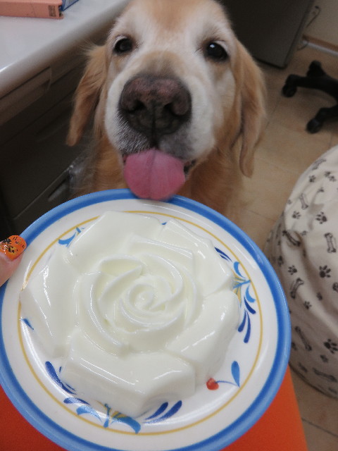 ファイル 4594-5.jpg