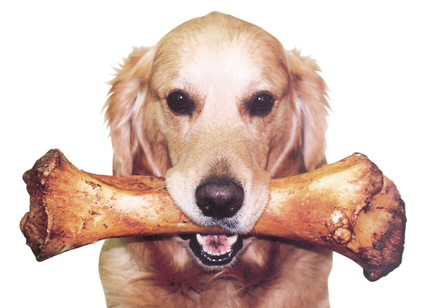 ファイル 4598-1.jpg