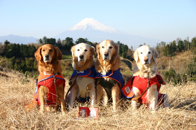 ファイル 4598-2.jpg