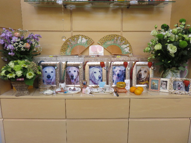 ファイル 4598-4.jpg