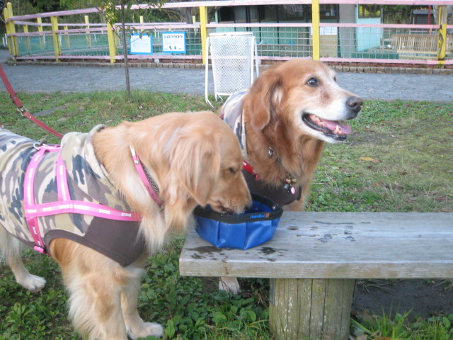 ファイル 460-1.jpg