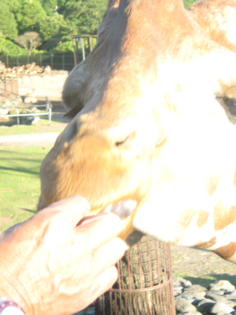 ファイル 460-3.jpg