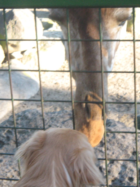 ファイル 460-4.jpg