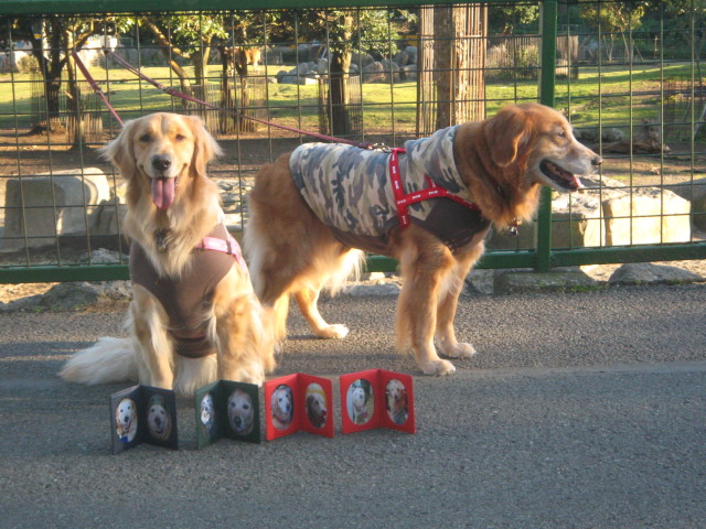 ファイル 460-5.jpg