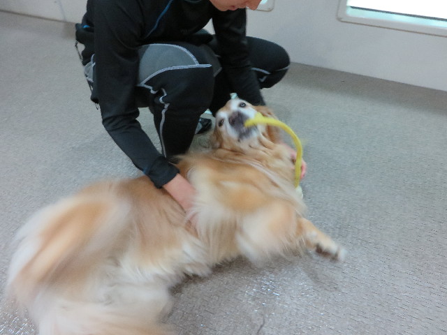 ファイル 4600-1.jpg