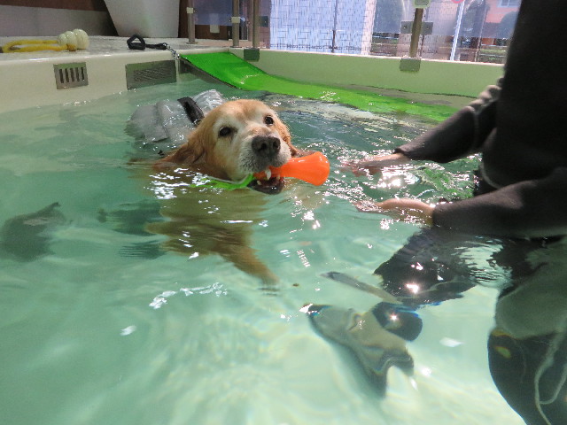 ファイル 4600-2.jpg