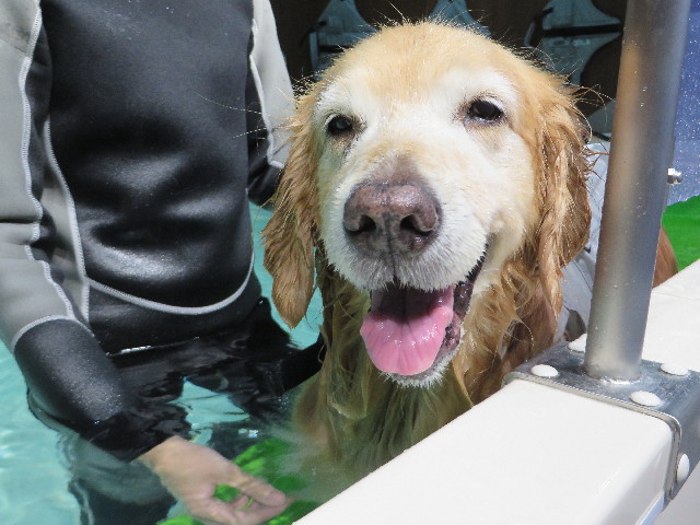 ファイル 4600-3.jpg