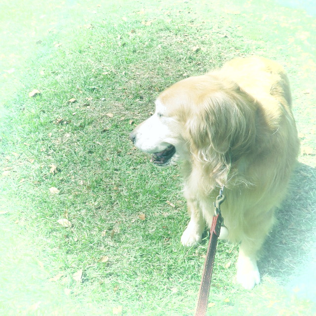 ファイル 4603-5.jpg