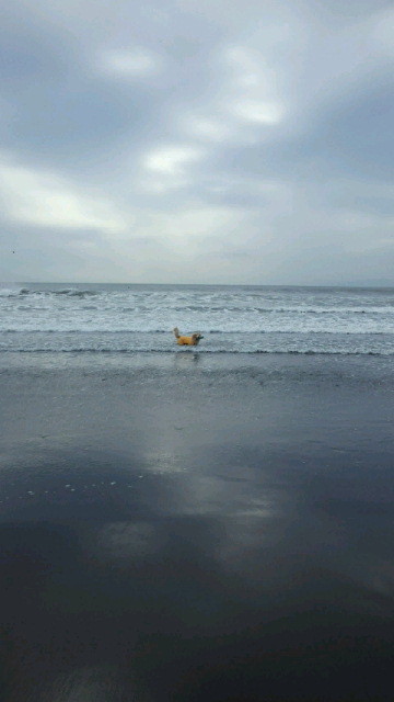 ファイル 4604-2.jpg