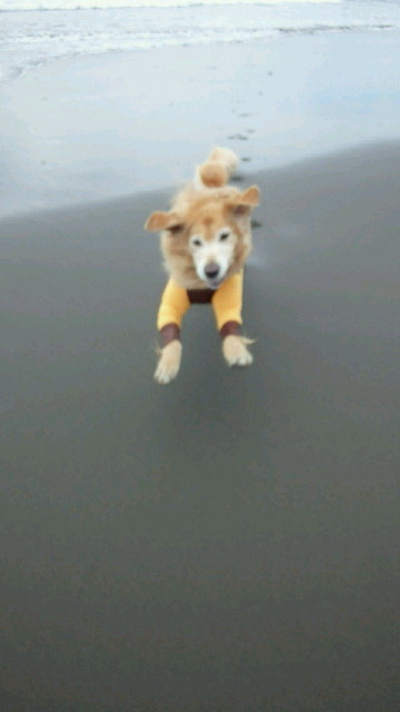 ファイル 4604-3.jpg