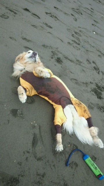 ファイル 4604-4.jpg