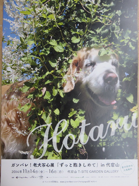 ファイル 4605-1.jpg