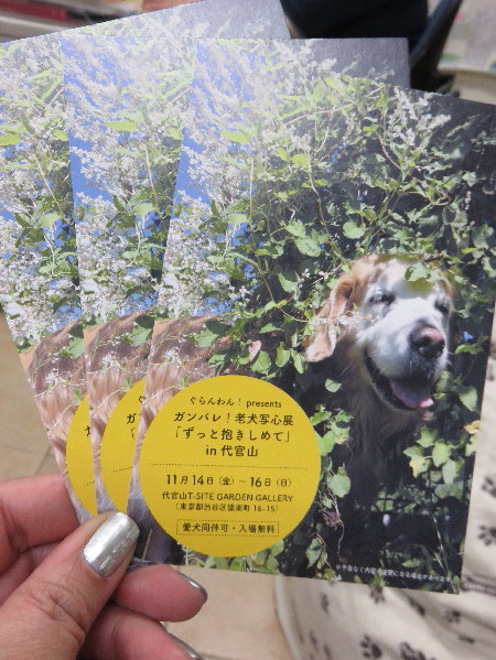 ファイル 4605-2.jpg