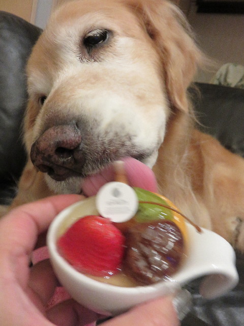 ファイル 4607-1.jpg