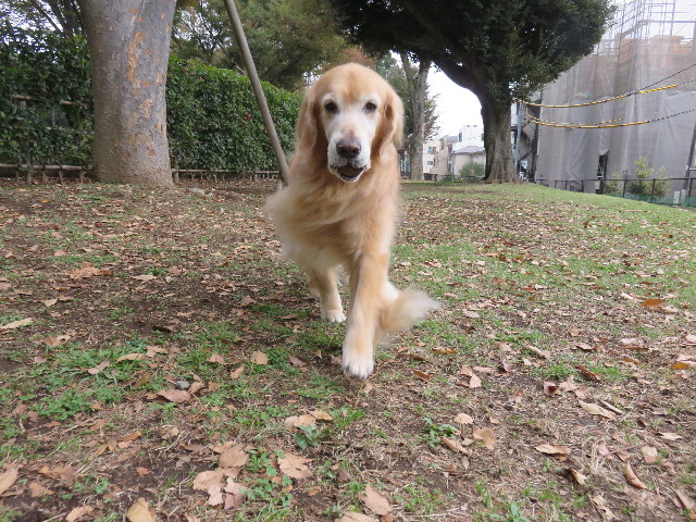 ファイル 4608-4.jpg