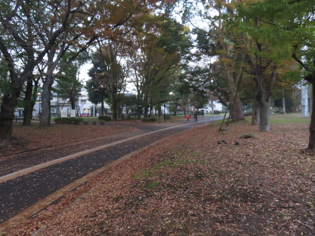 ファイル 4614-1.jpg