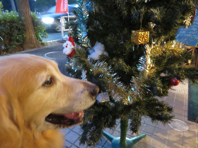 ファイル 4614-2.jpg