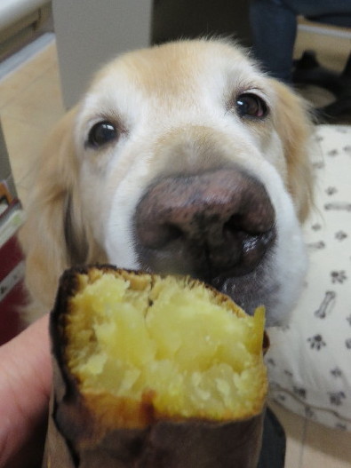 ファイル 4615-2.jpg