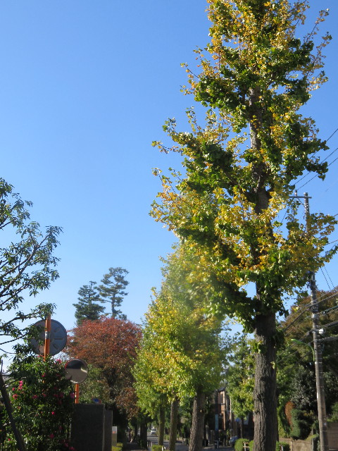 ファイル 4616-2.jpg