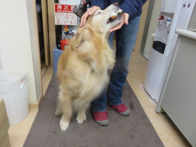 ファイル 4616-5.jpg