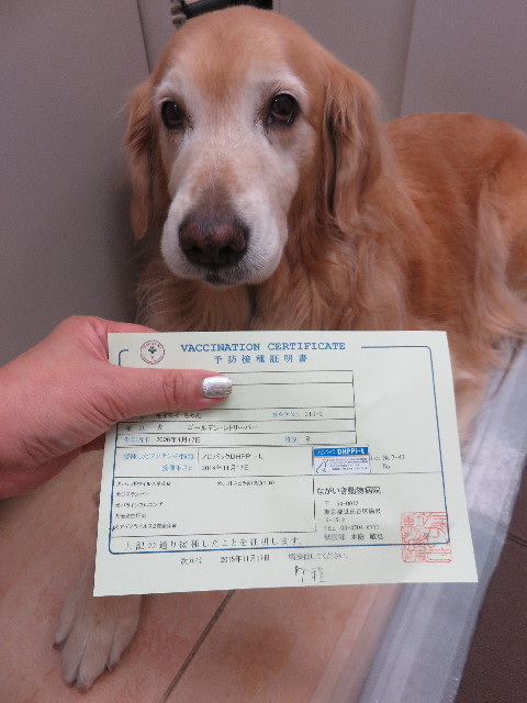 ファイル 4619-4.jpg