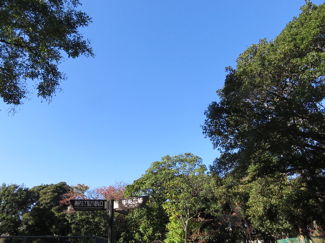 ファイル 4621-1.jpg