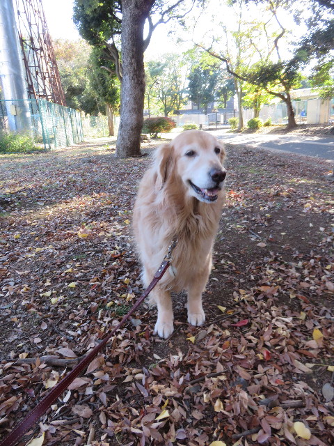 ファイル 4621-2.jpg