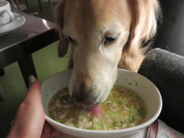 ファイル 4622-4.jpg