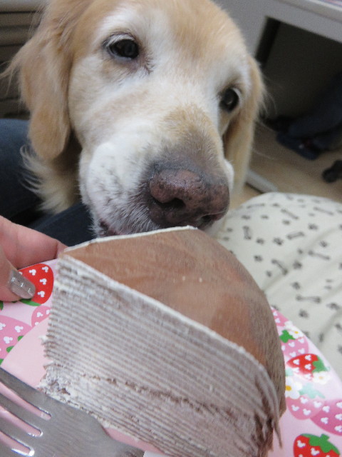 ファイル 4624-4.jpg