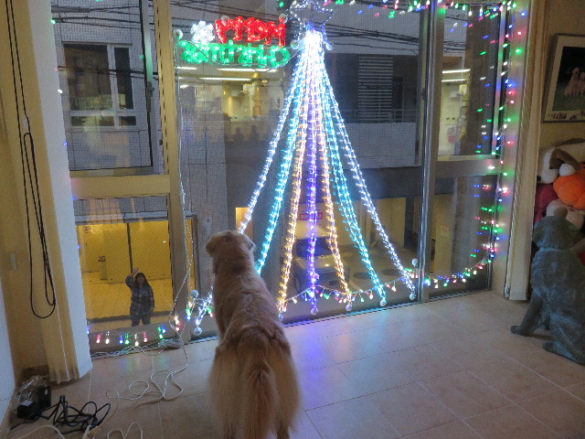 ファイル 4625-4.jpg