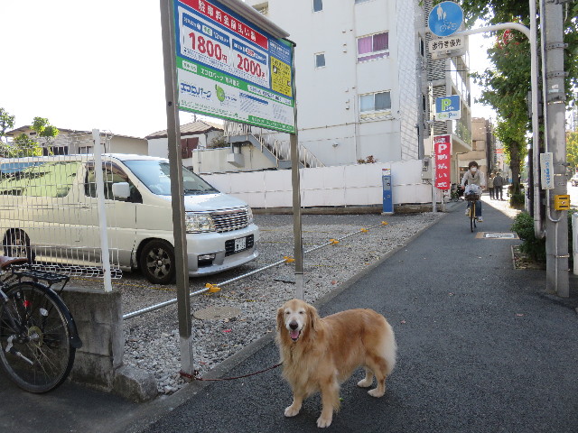 ファイル 4626-5.jpg